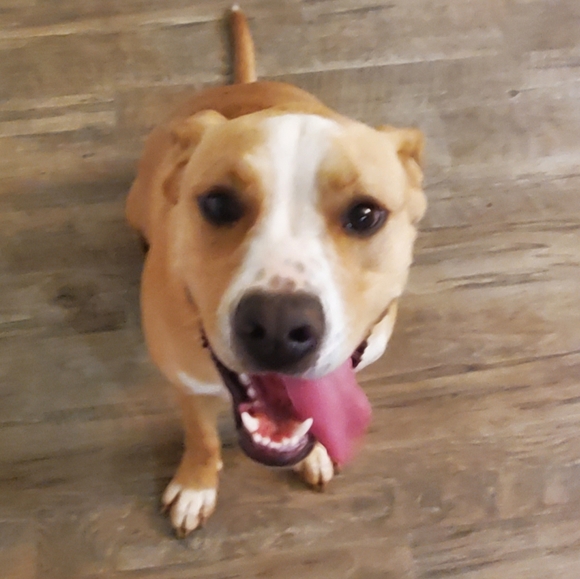 Hello Sunshine 🌞 - Picture 8 of 8